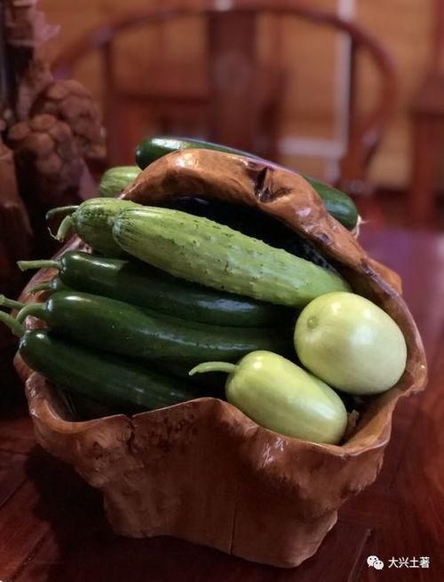 网红吃瓜郡,揭秘美食背后的故事